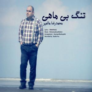   محمدرضا مالنیر