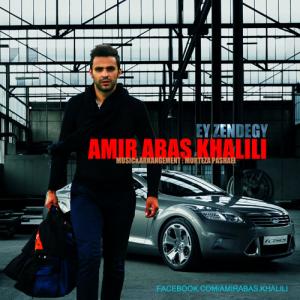   امیر عباس خلیلی