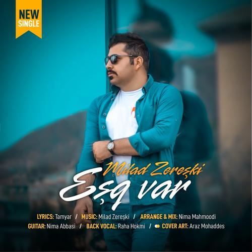   میلاد زرشکی