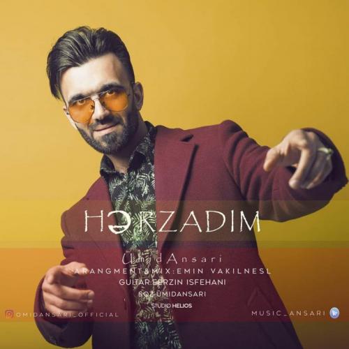   امید انصاری