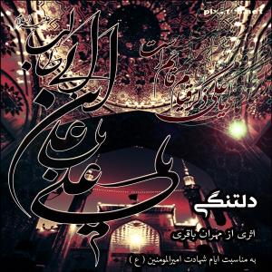   مهران باقری