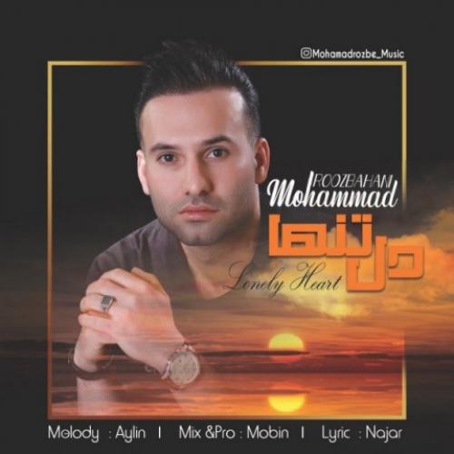   محمد روزبهانی