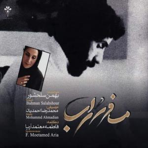   بهمن سلحشور