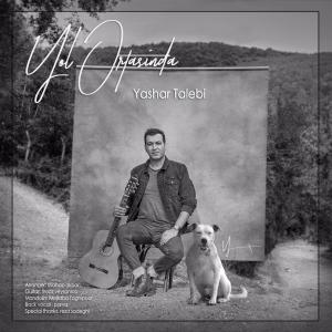   یاشار طالبی