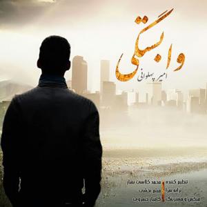   امیر پهلوانی