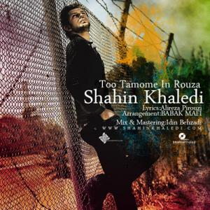   شاهین خالدی