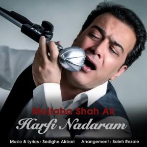   مجتبی شاه علی