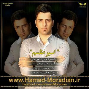   حامد مرادیان