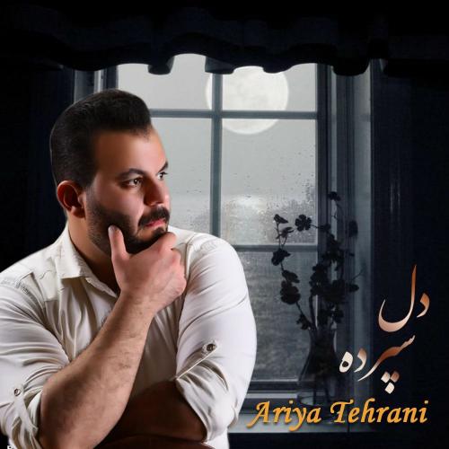   آریا تهرانی