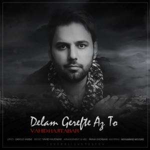   وحید حاجی تبار