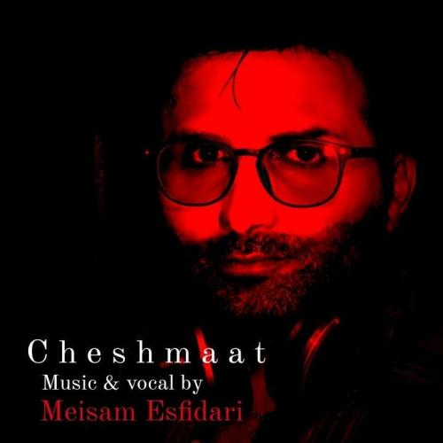   میثم اسفیداری