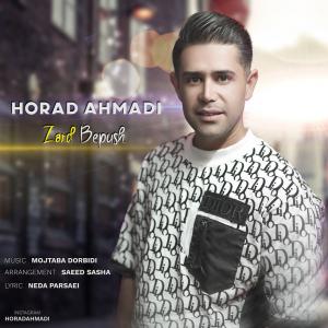   هوراد احمدی