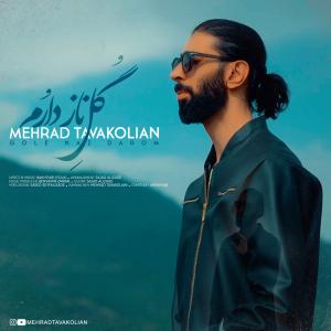   مهراد توکلیان