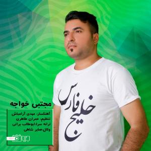   مجتبی خواجه