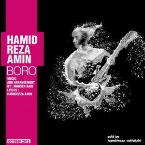   حمیررضا امین