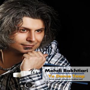   مهدی بختیاری