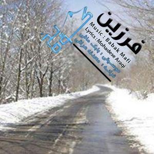   میثم حرد بوی