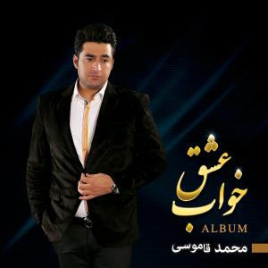   محمد قاموسی