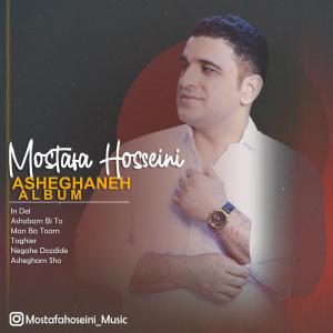   مصطفی حسینی