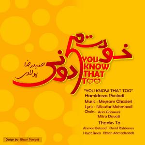   حمیدرضا پولادی