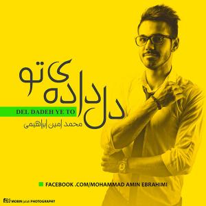   محمد امین ابراهیمی