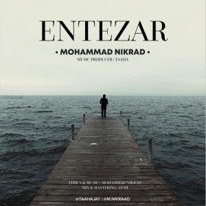   محمد نیکراد