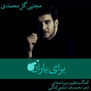   مجتبی گل محمدی