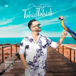   توحید توحیدی