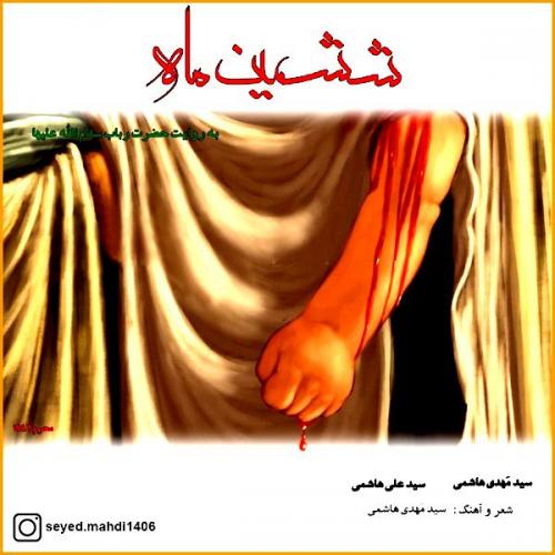   سید مهدی هاشمی و سید علی هاشمی