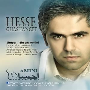   احسان امینی