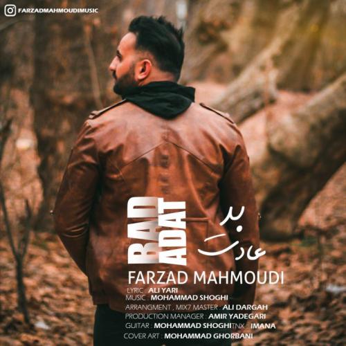   فرزاد محمودی