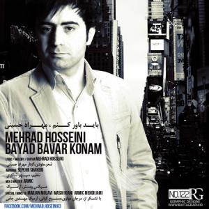   مهرداد حسینی