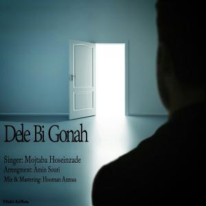   مجتبی حسین زاده