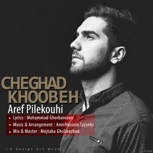   عارف پیله کوهی