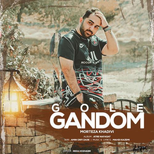   مرتضی خدیوی