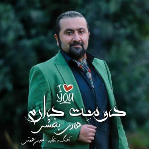   هادی بخشی