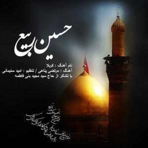  حسین ربیع