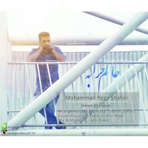   محمد رضا شفیعی