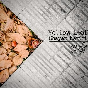   شایان کریمی