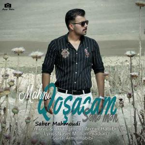   صابر محمودی