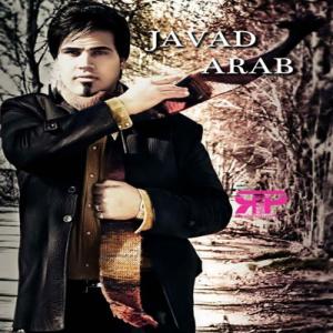   جواد عرب