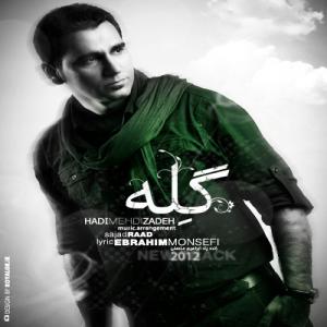   هادی مهدی زاده