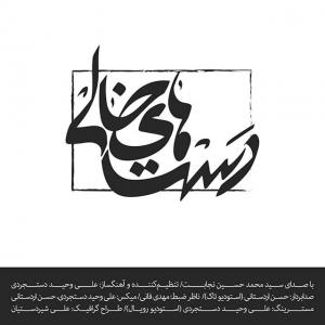   سید محمد حسین نجابت