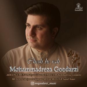   محمدرضا گودرزی