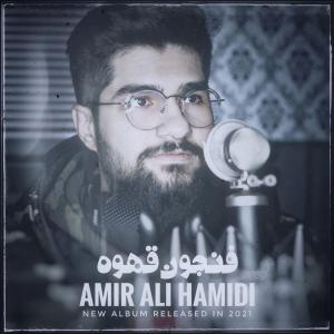   امیر علی حمیدی