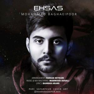   محمد بقایی پور