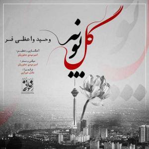   وحید واعظی فر