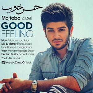   مجتبی زیائی