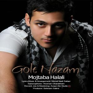   مجتبی هلالی