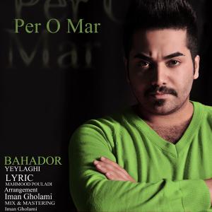   بهادر ییلاقی